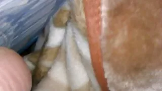 মেয়ে সেক্সি বিএফ বাংলা সমকামী, শ্যামাঙ্গিণী